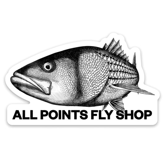 All Points Fly Shop Striped Bass Sticker