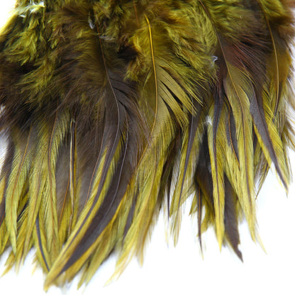 Badger Saddle Hackle Olive