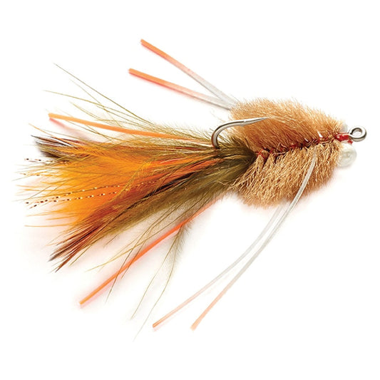 Biscuit Crab Fly