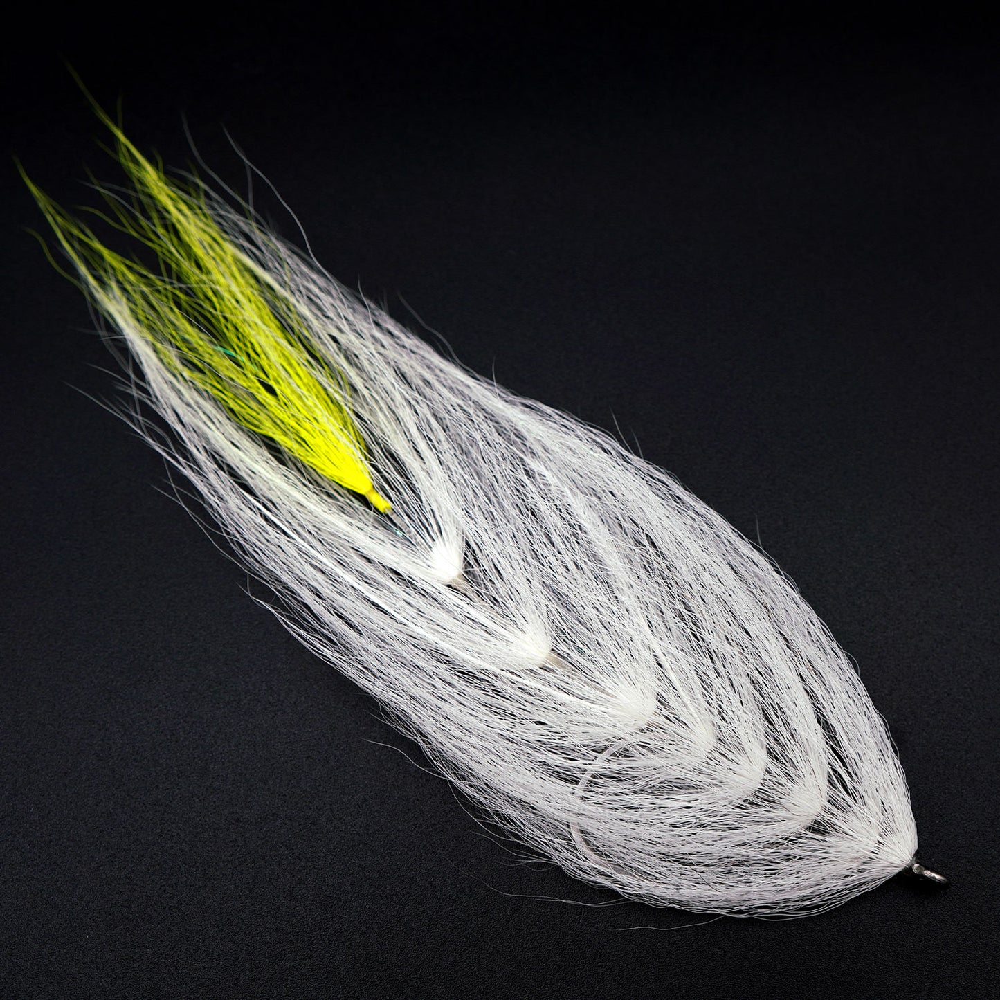 Beast Fleye