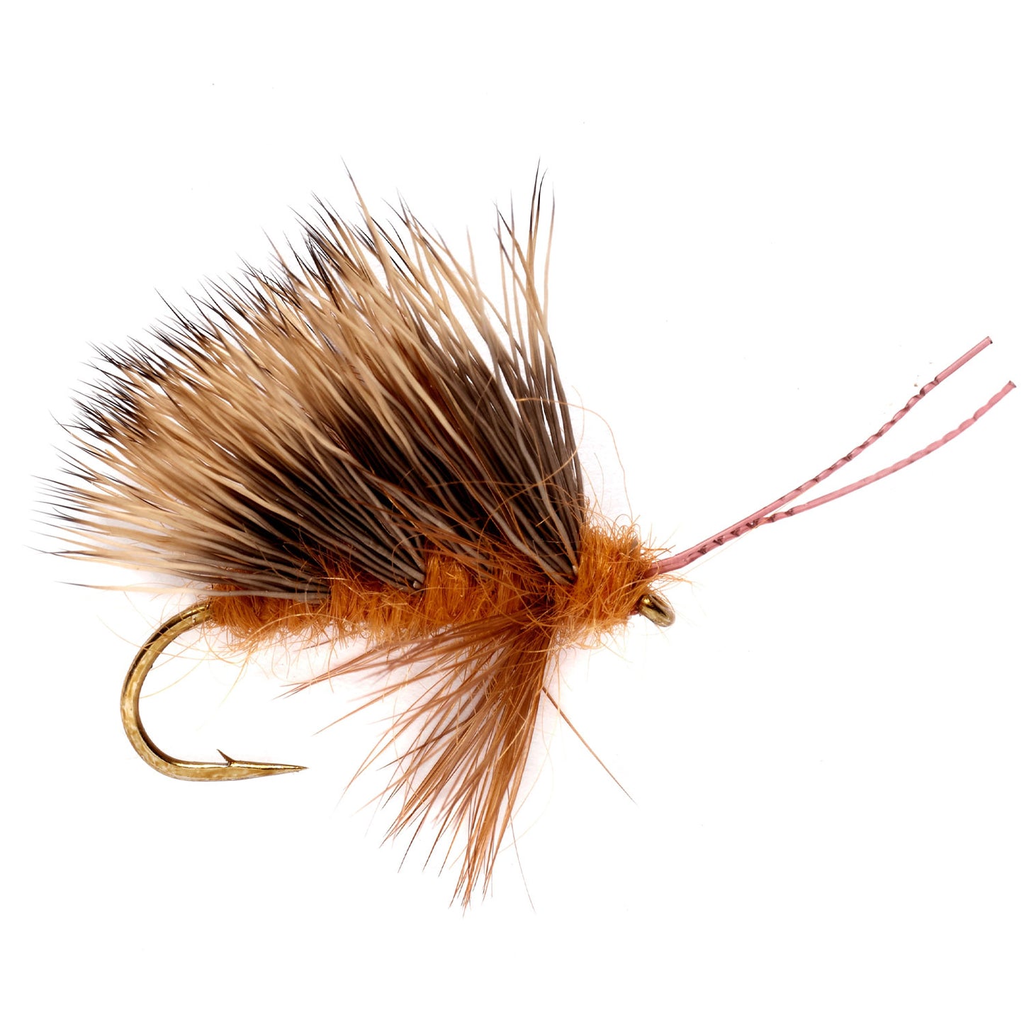 Burkus' Sedgeback October Caddis Fly Pattern