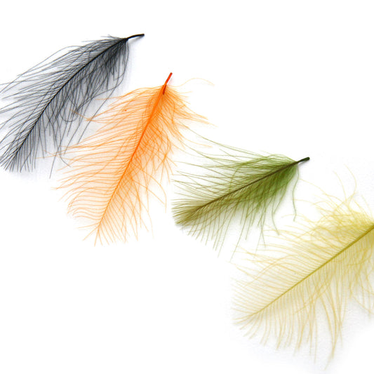 CDC Feathers