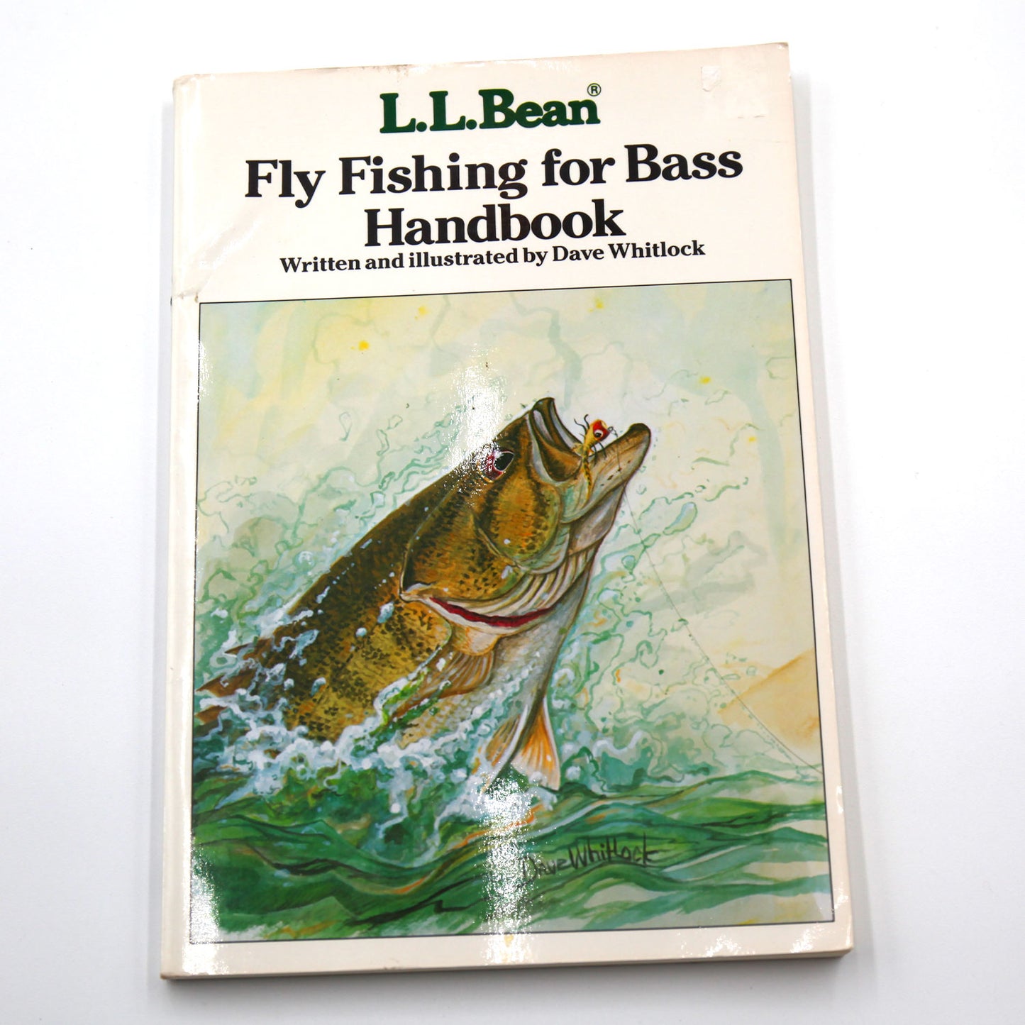 Fly Fishing for Bass Handbook