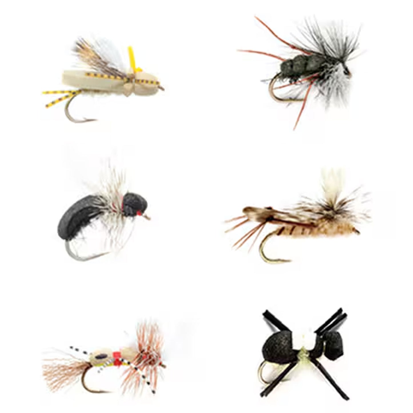 Fulling Mill Terrestrial Selection