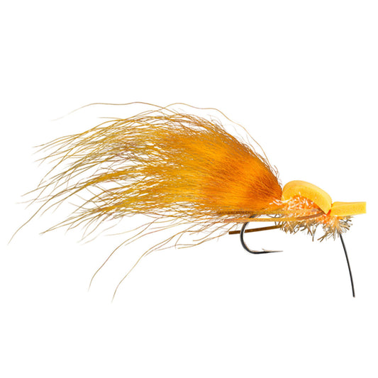 Gurgler Alarm Sunrise