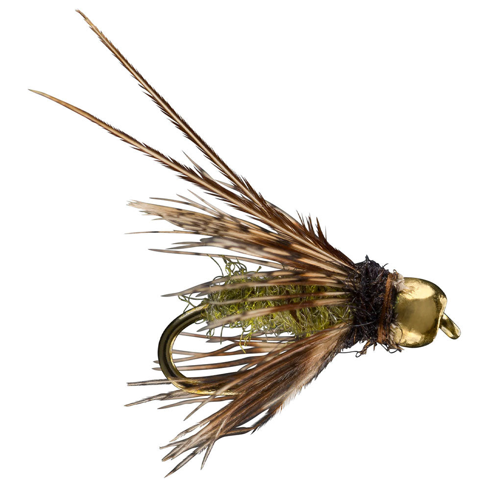 Hungarian Caddis Pupa Olive