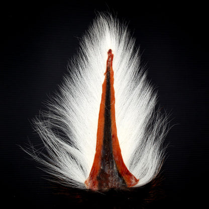 Maine Bucktail Fly Tying