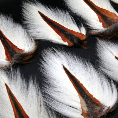 Maine Bucktail Fly Tying