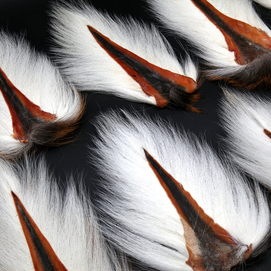 Maine Bucktail Fly Tying