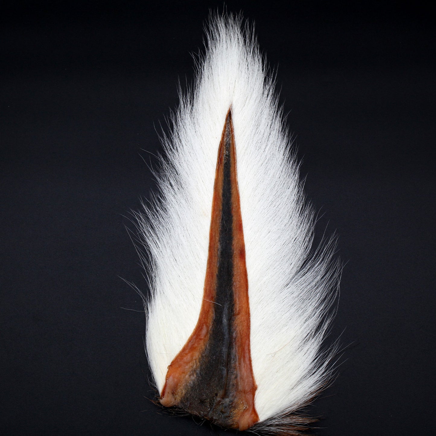 Maine Bucktail Fly Tying