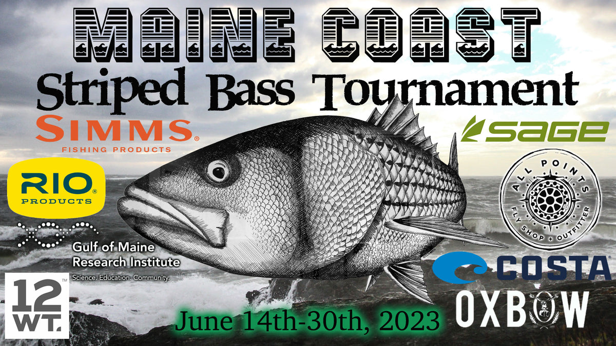 https://allpointsflyfishing.com/cdn/shop/files/Maine-Coast-Striped-Bass-Tourn-2023_1200x675.jpg?v=1685027326