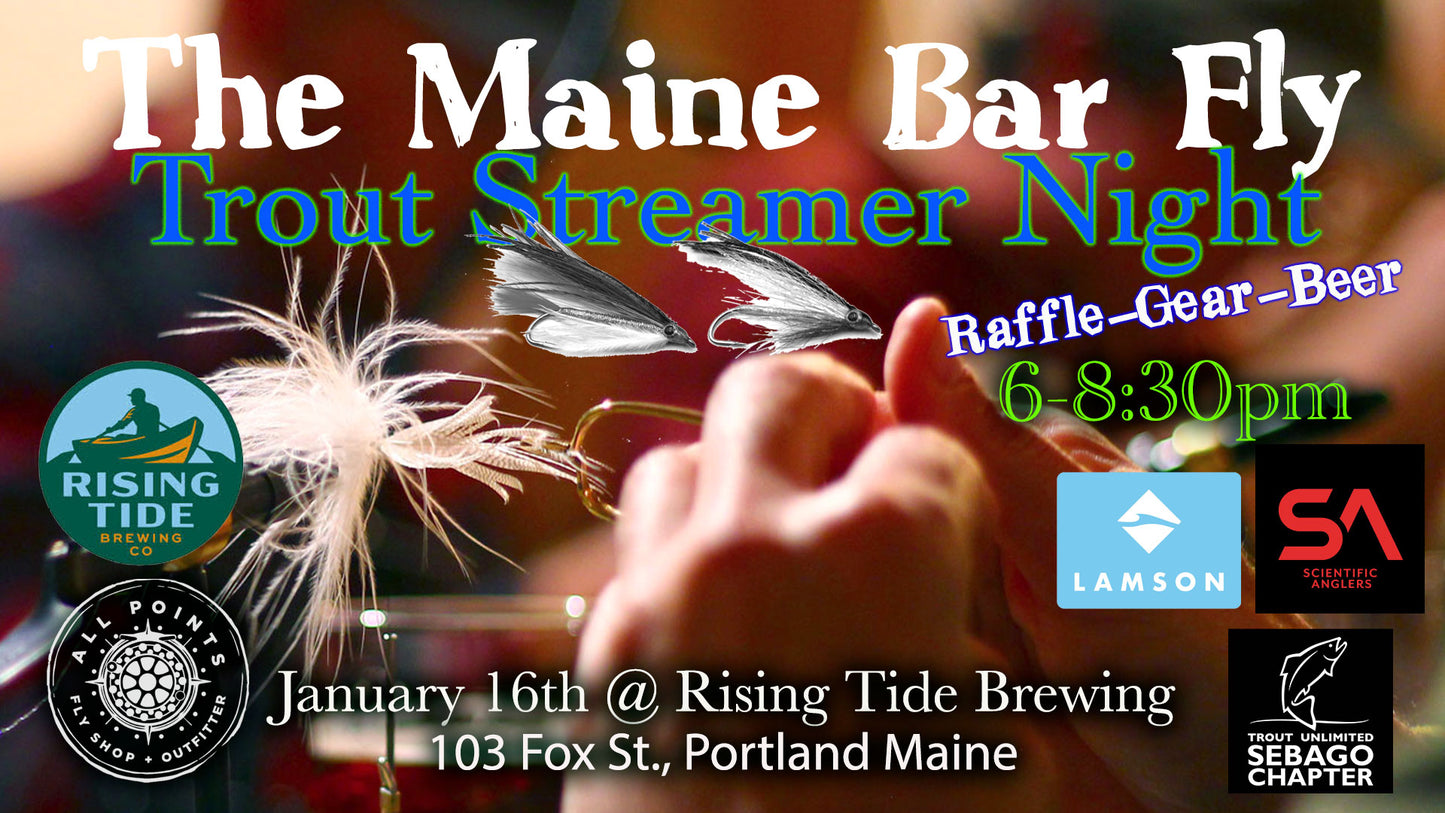 Maine Bar Fly