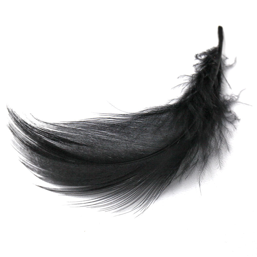 Mallard Flank Feathers Black