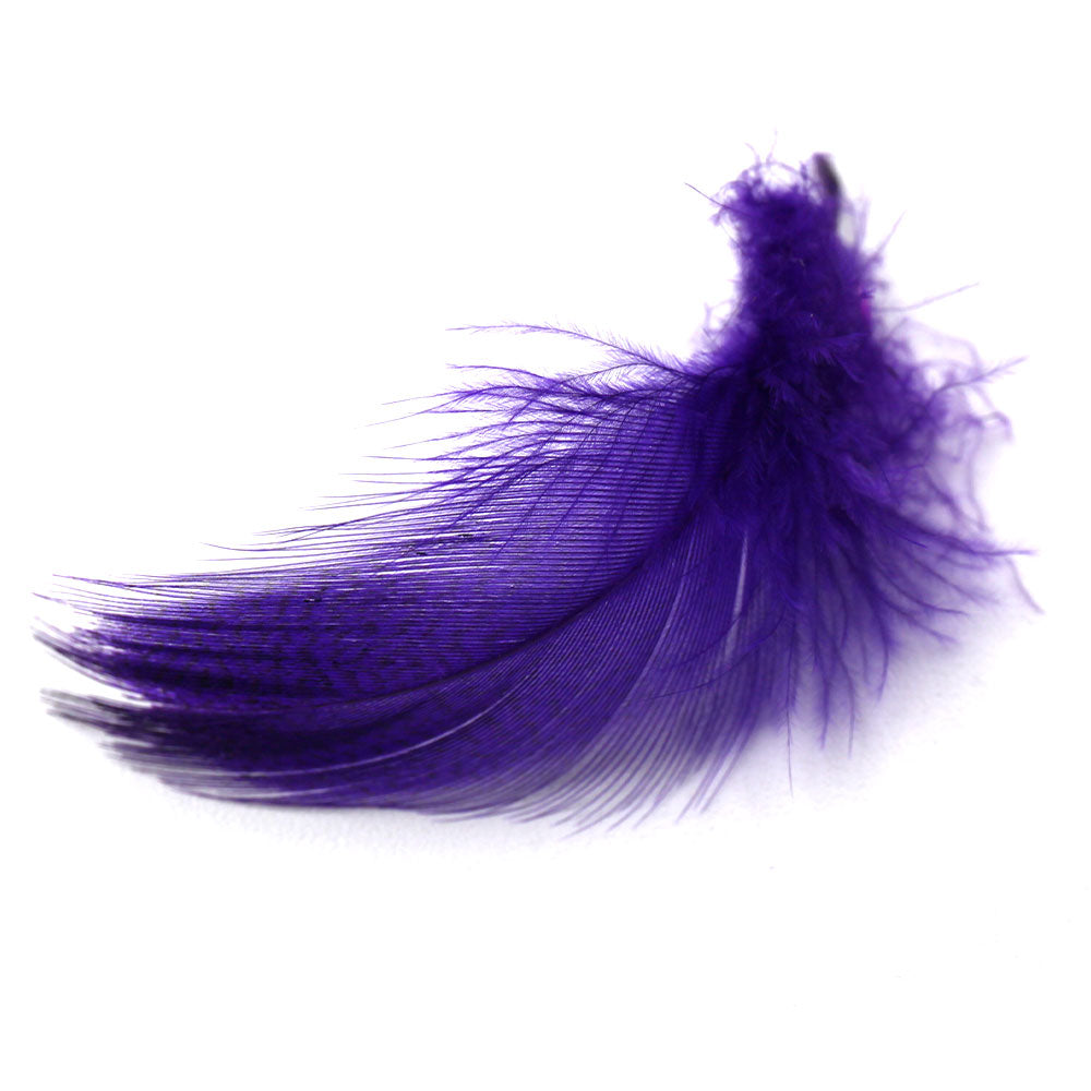 Mallard Flank Feathers Purple