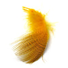 Mallard Flank Feathers Yellow