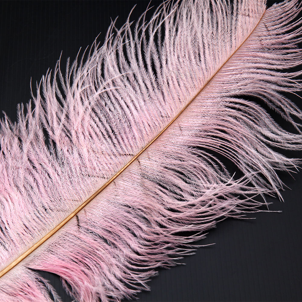 Extra Large Ostrich Plumes Light Pink