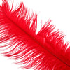 Extra Large Ostrich Plumes Red