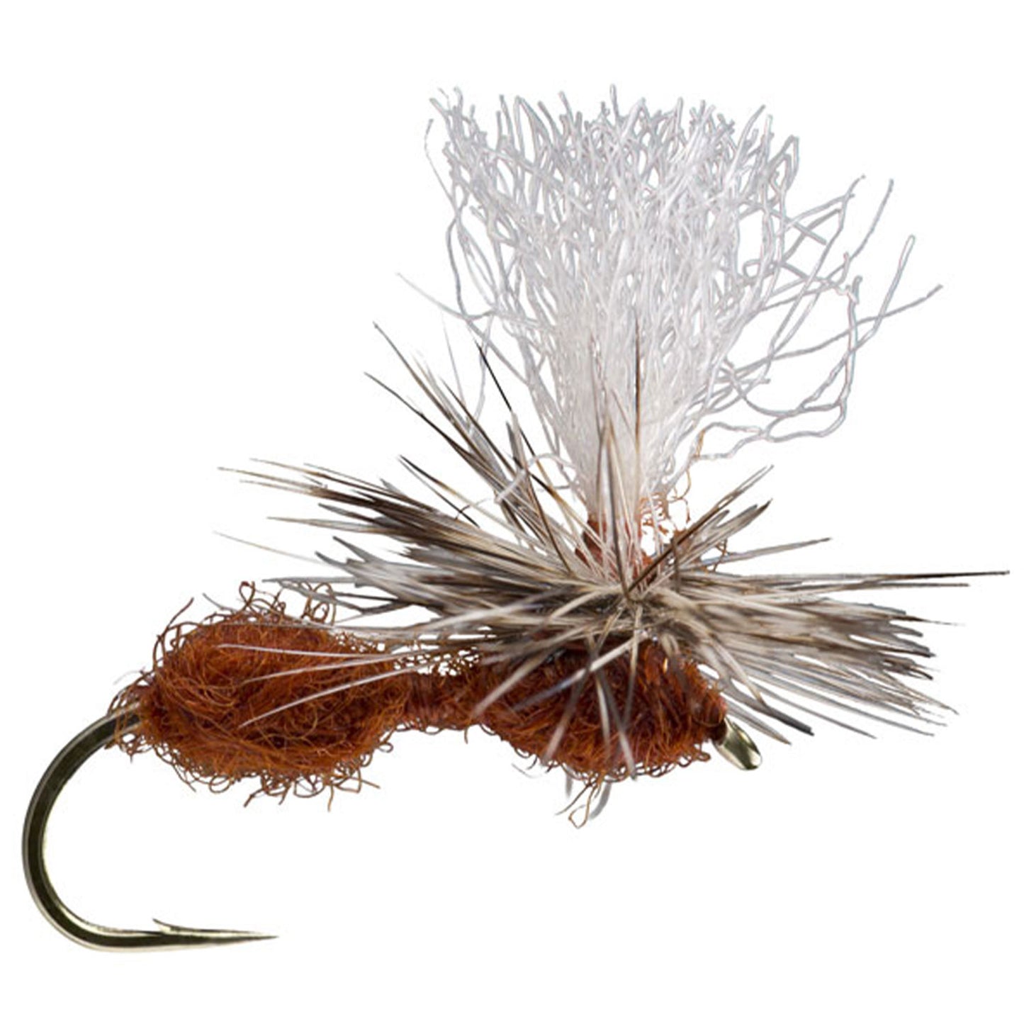 Para Ant Fly Cinnamon