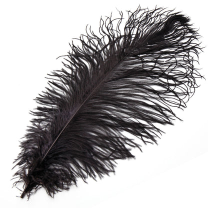 Premium Ostrich Plumes Black