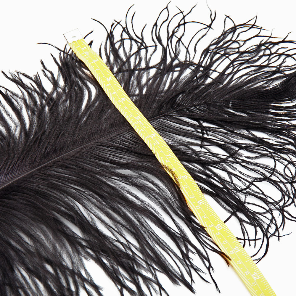 Premium Ostrich Plumes