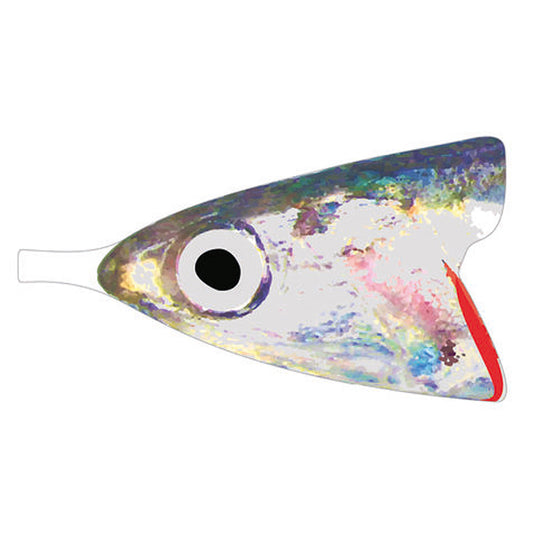 Pro Sportfisher Anchovy Foils