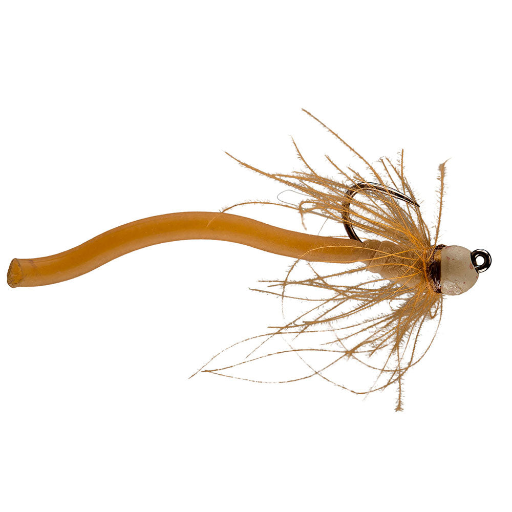 Worm Farm Fly