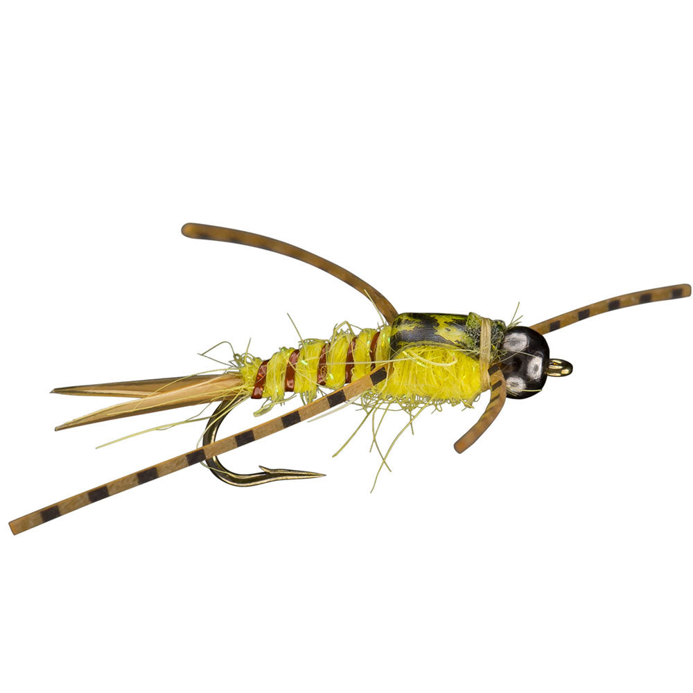 Yellow Stonefly Pattern Yellow Sally Nymph– All Points Fly Shop + Outfitter