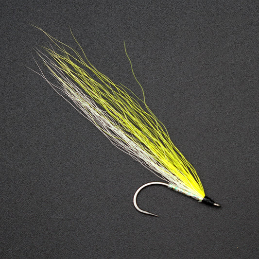 Ray's Fly Striped Bass