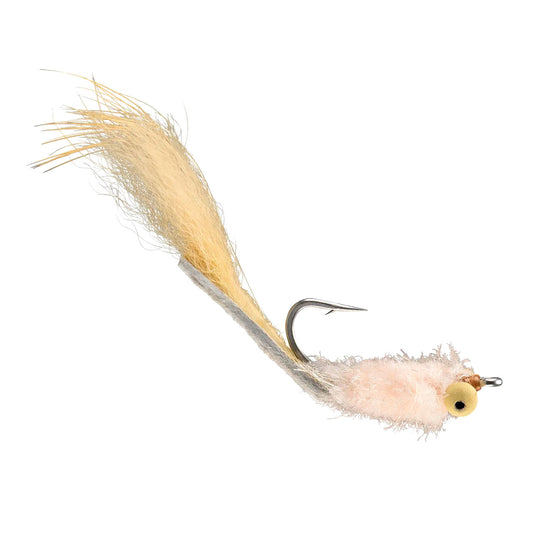 Resting Beach Face Fly Bonefish