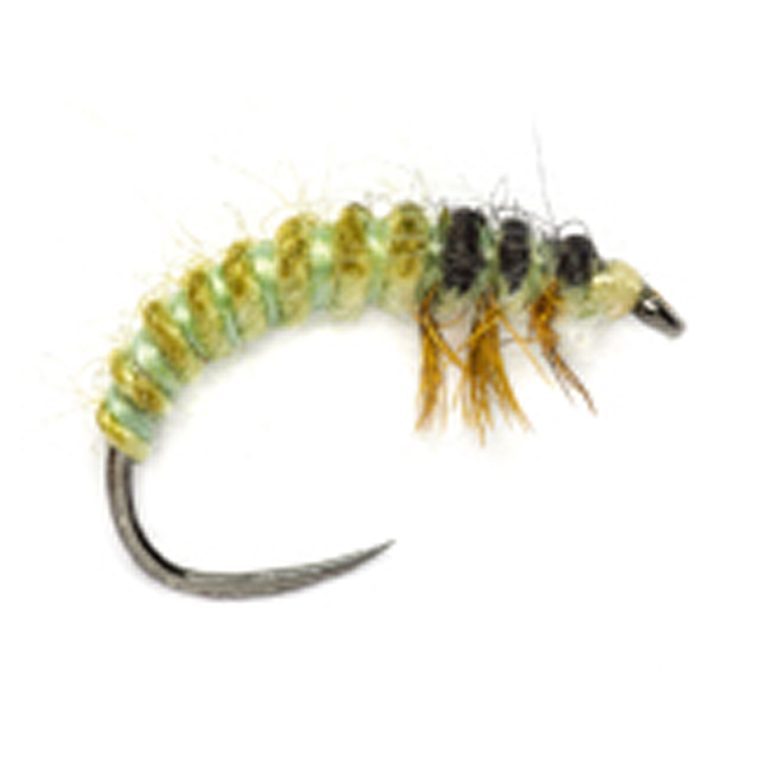 Rhyacophila Caddis Larva