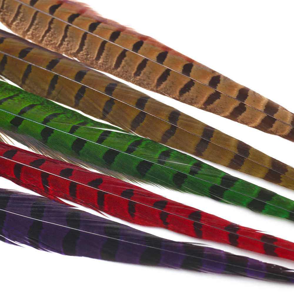 Ringneck Pheasant Tail Feathers