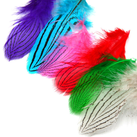 Silver Pheasant Body Feathers Fly Tying