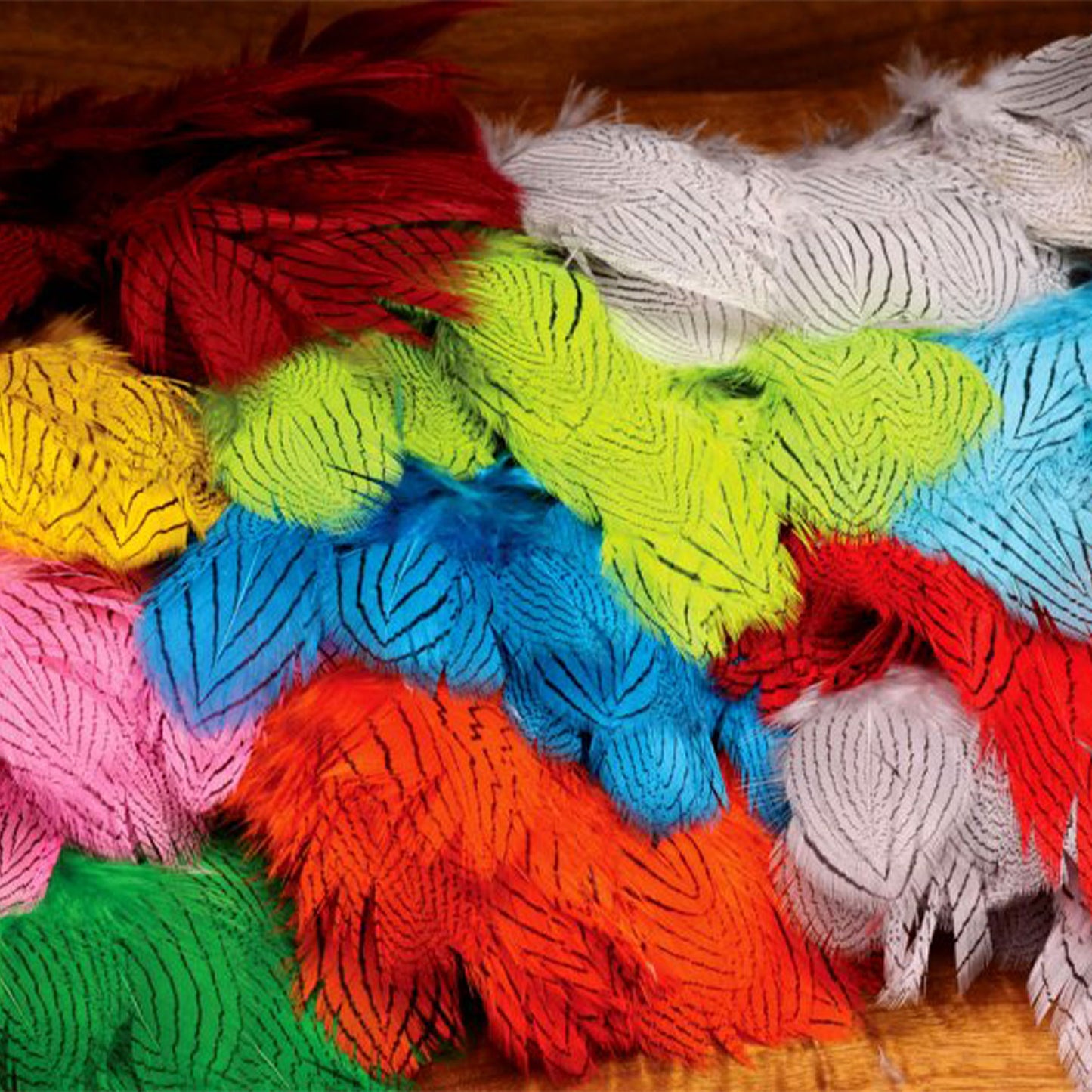Silver Pheasant Body Feathers