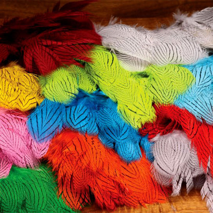 Silver Pheasant Body Feathers