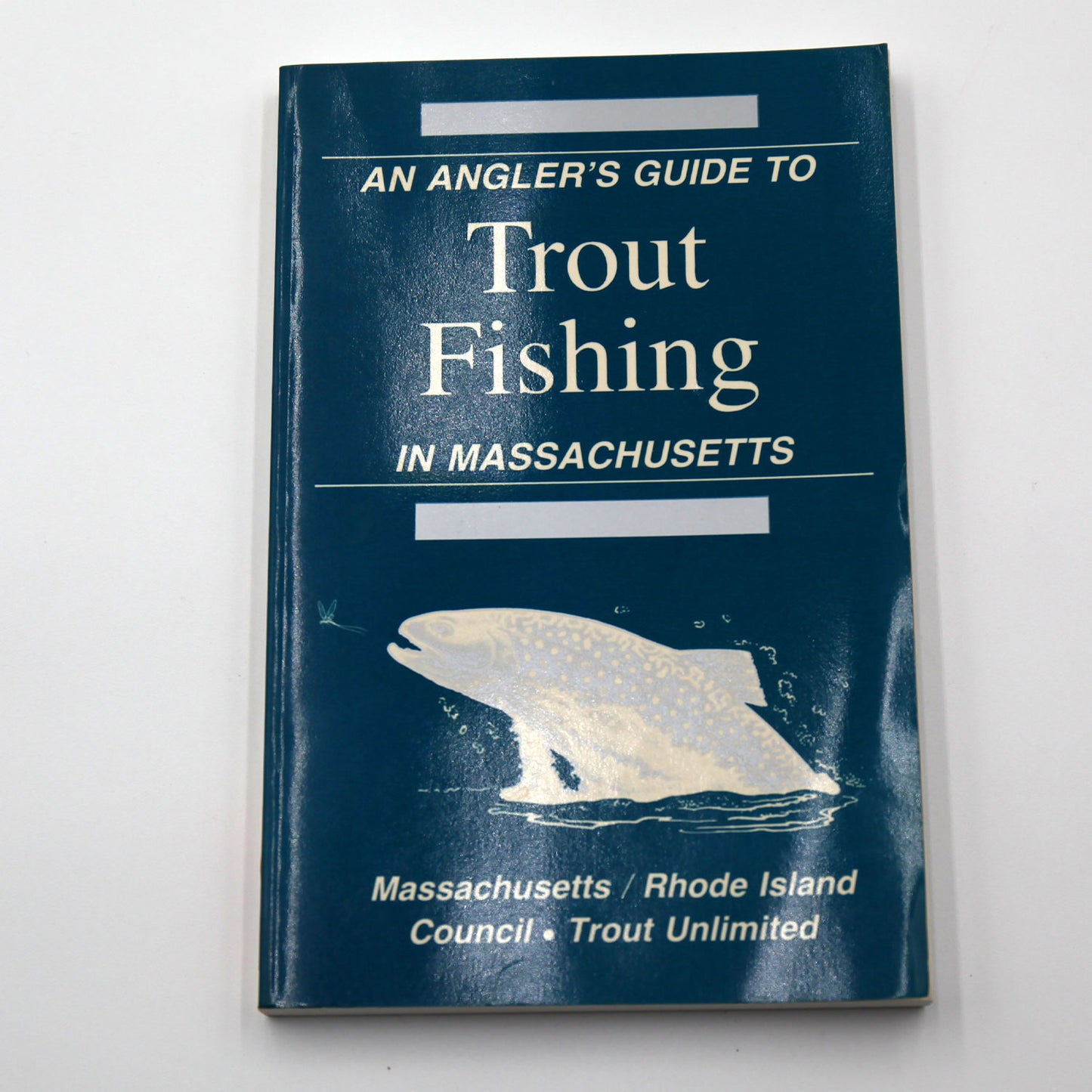 Trout Fishing in Massachusetts
