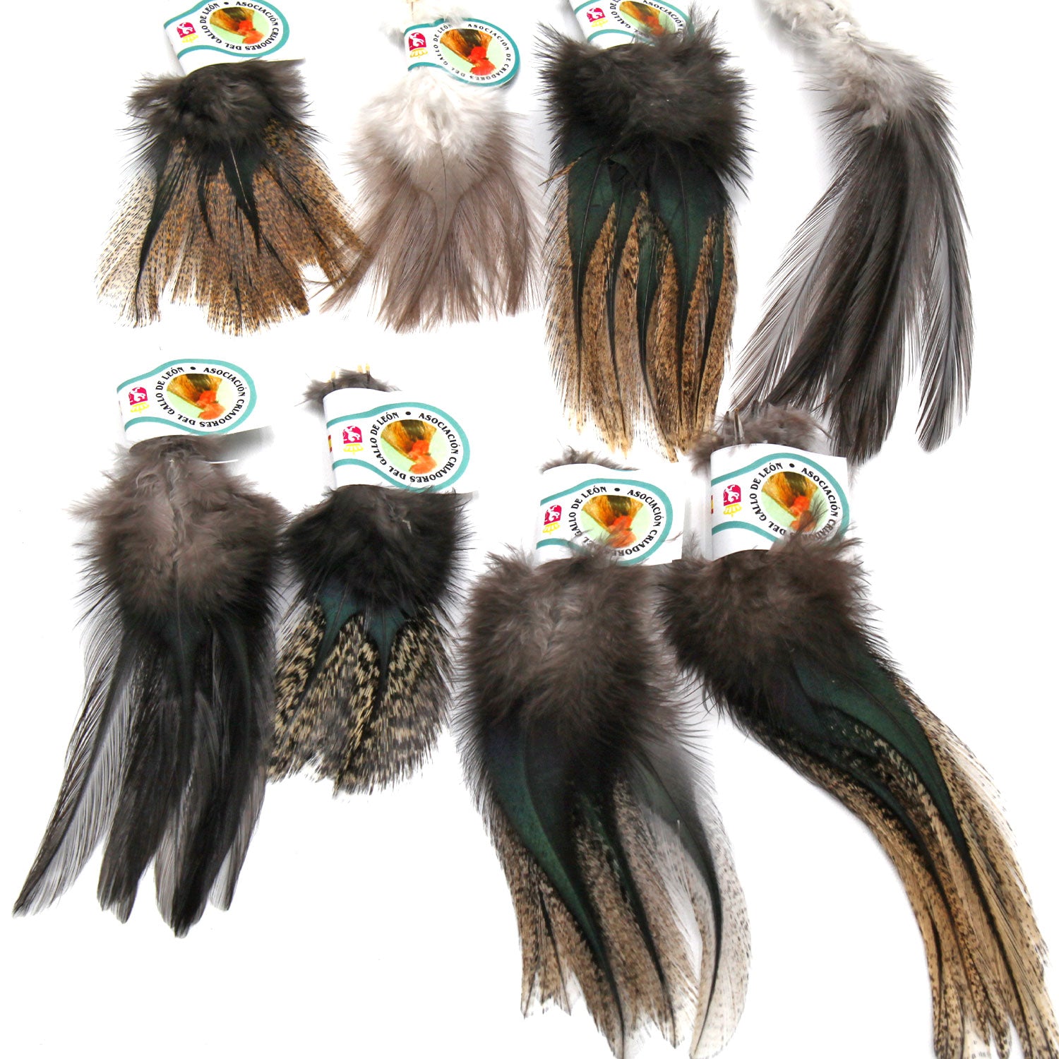 Coq De Leon (CDL) Feathers