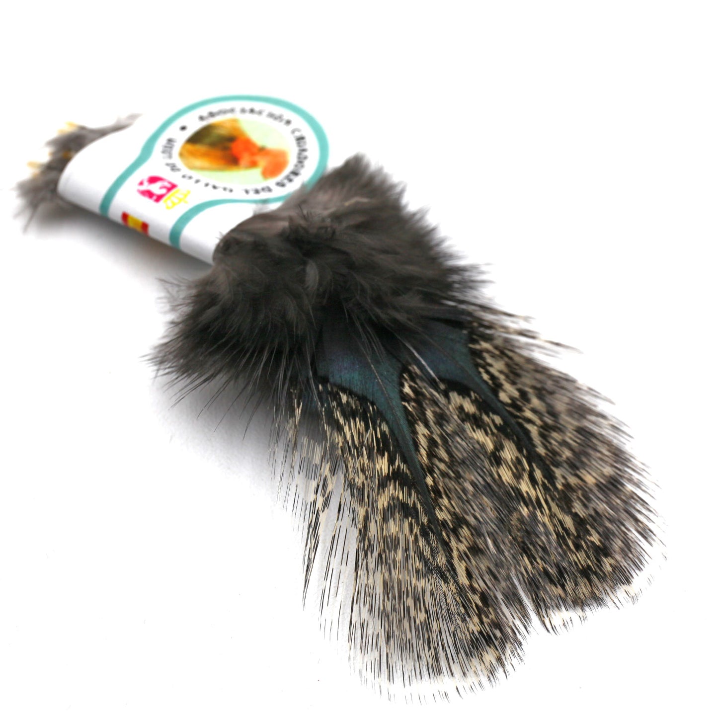 Coq De Leon (CDL) Feathers