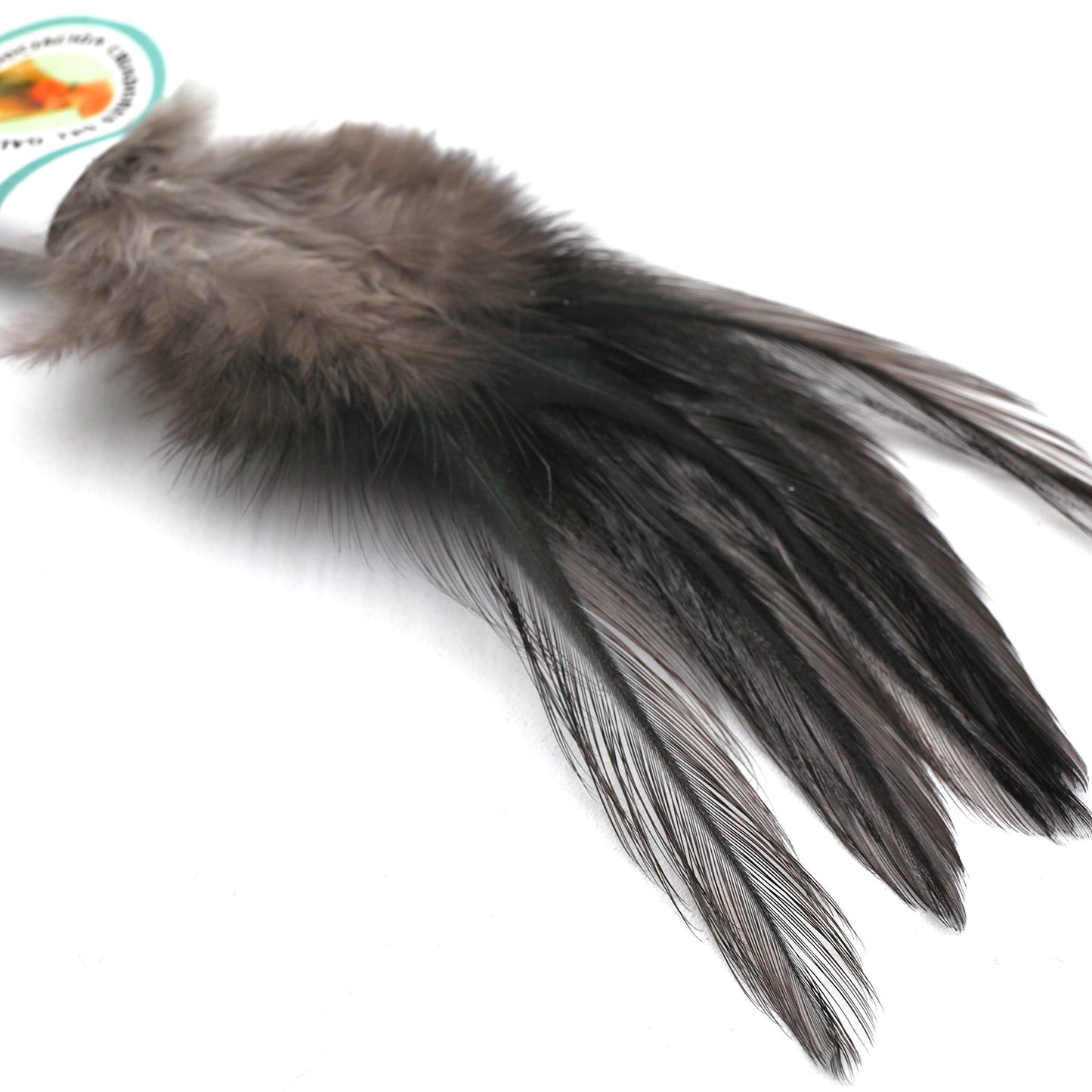 Coq De Leon (CDL) Feathers