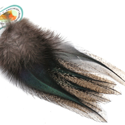 Coq De Leon (CDL) Feathers