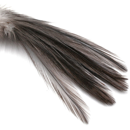 Coq De Leon (CDL) Feathers