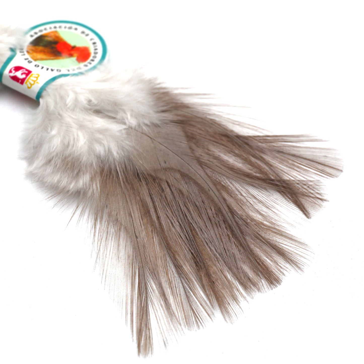 Coq De Leon (CDL) Feathers