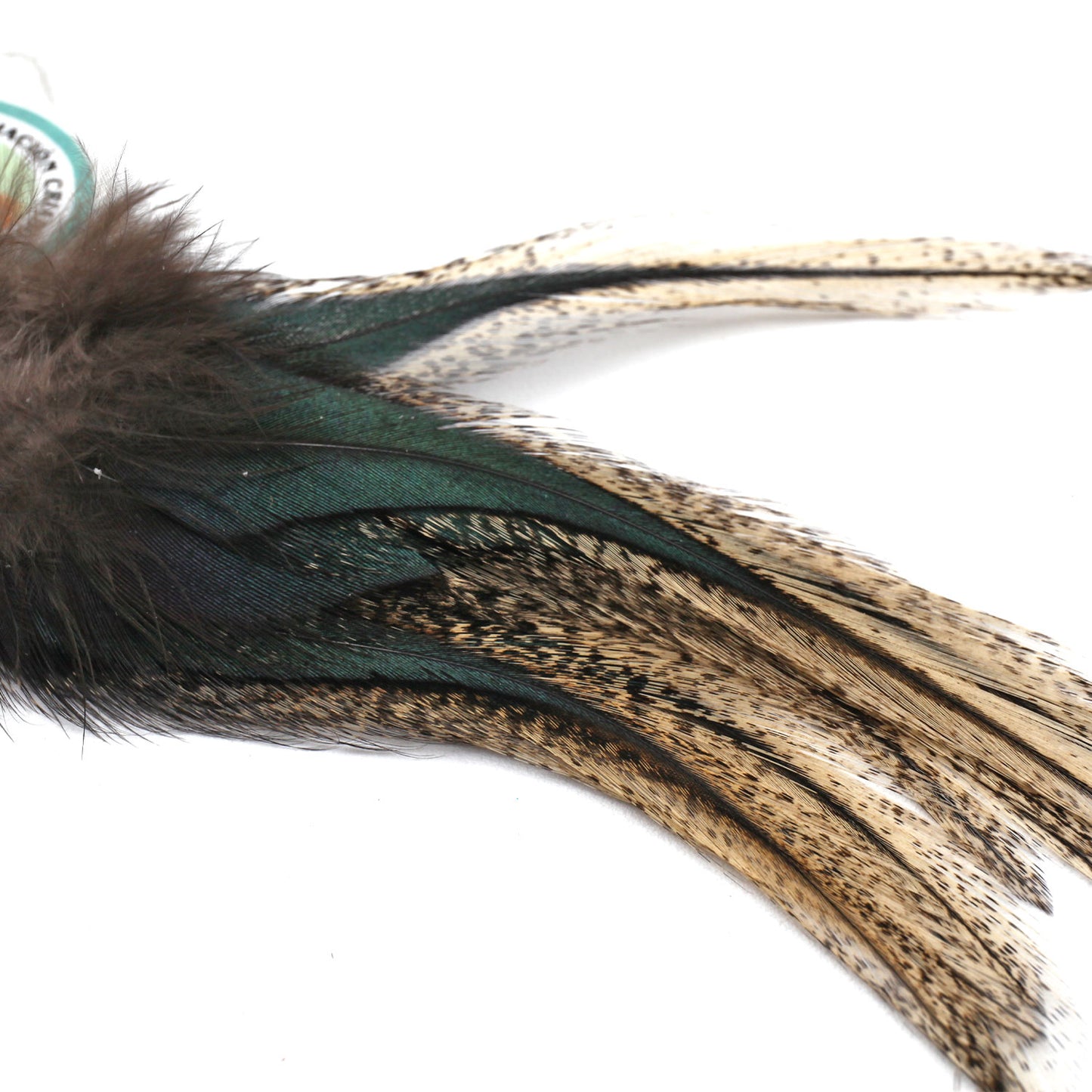 Coq De Leon (CDL) Feathers