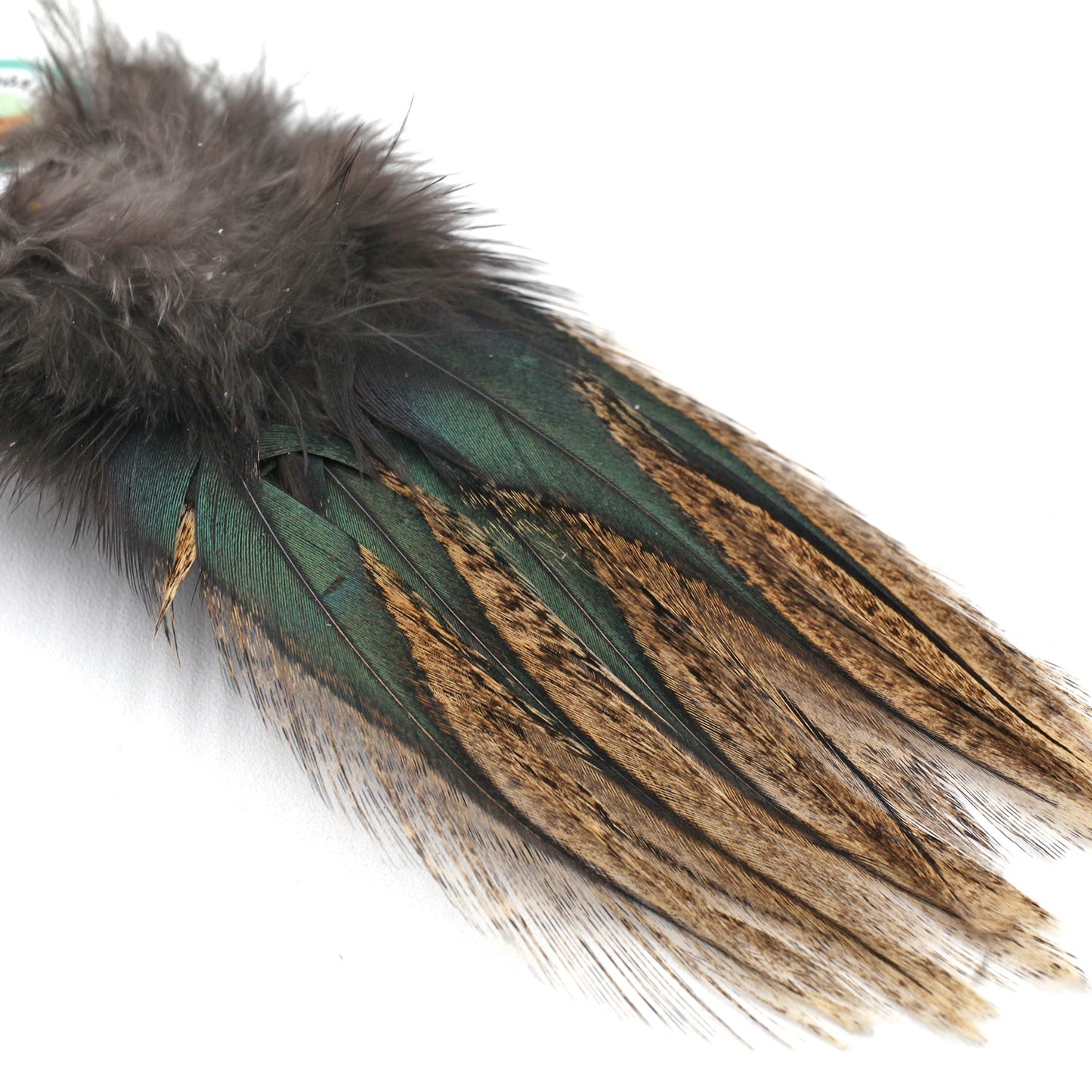 Coq De Leon (CDL) Feathers