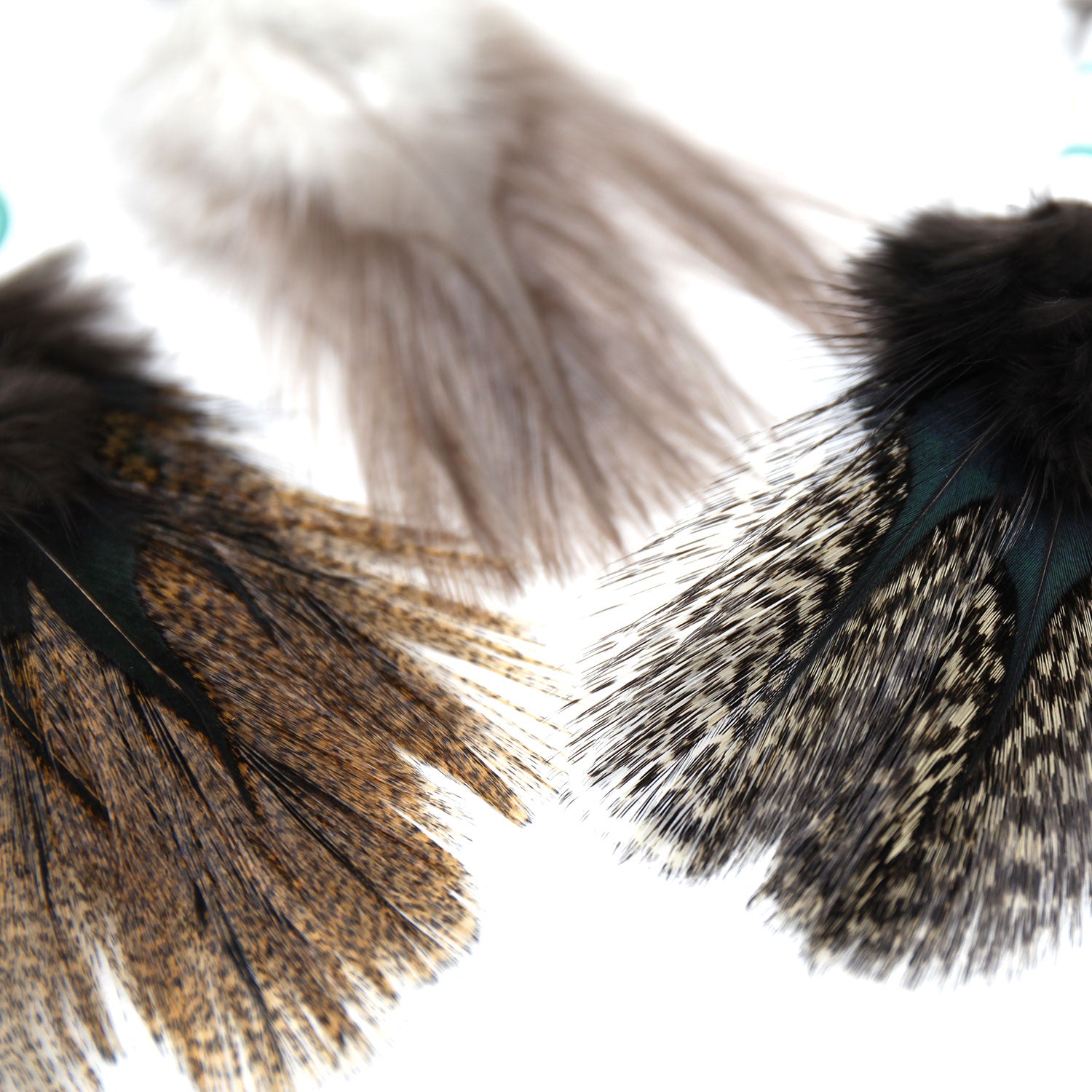 Coq De Leon (CDL) Feathers