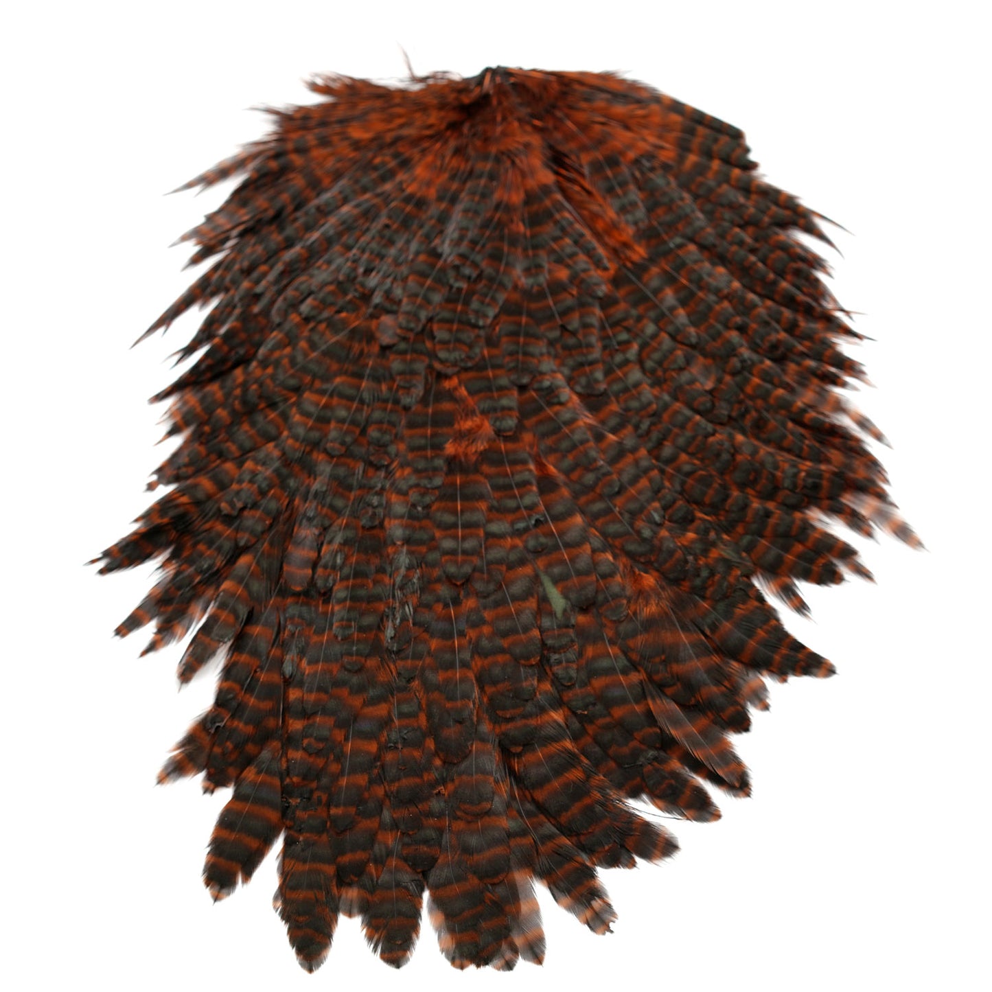 Hen Saddles Fly Tying Grizzly Brown