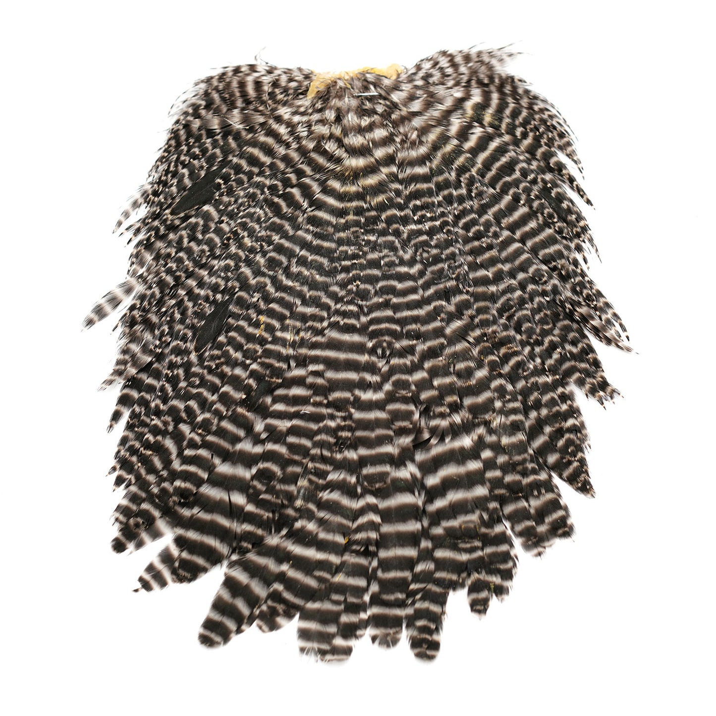 Hen Saddles Fly Tying Grizzly Natural