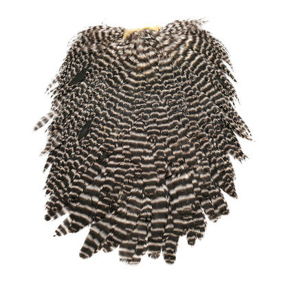 Hen Saddles Fly Tying Grizzly Natural