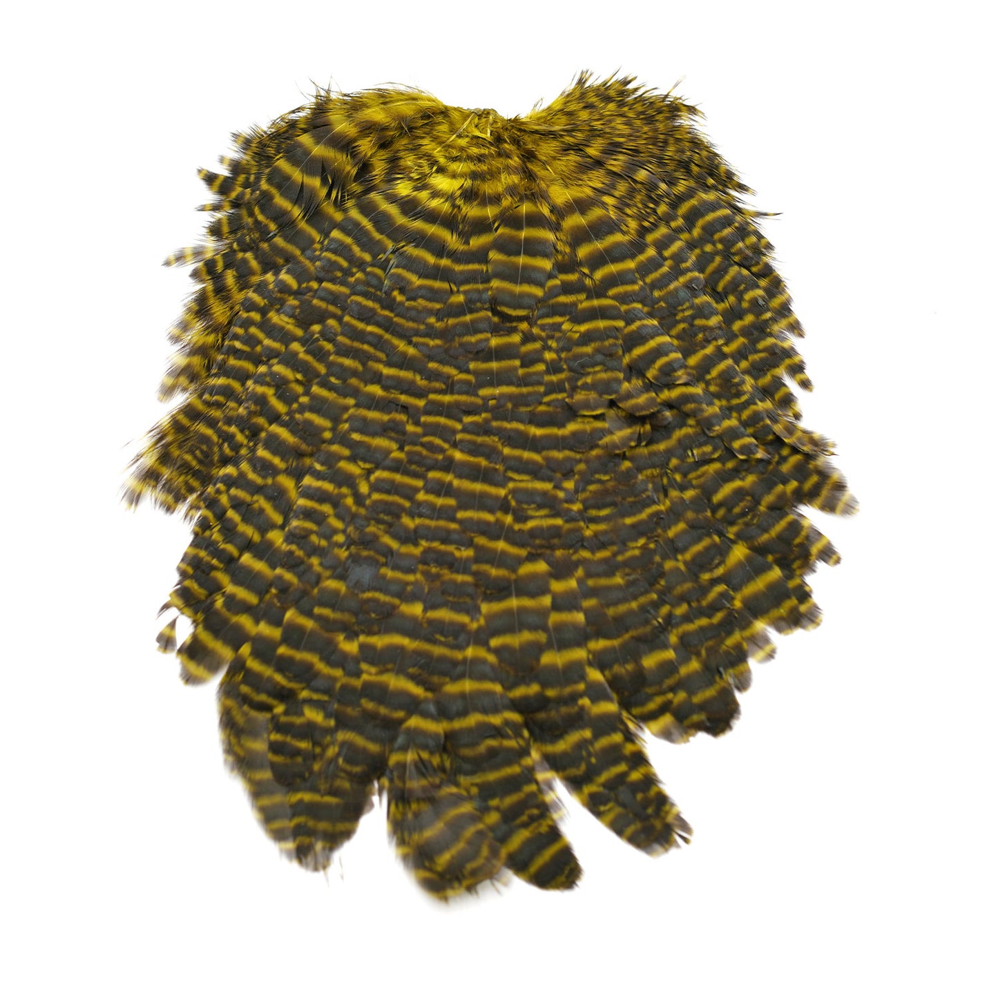 Hen Saddles Fly Tying Grizzly Olive