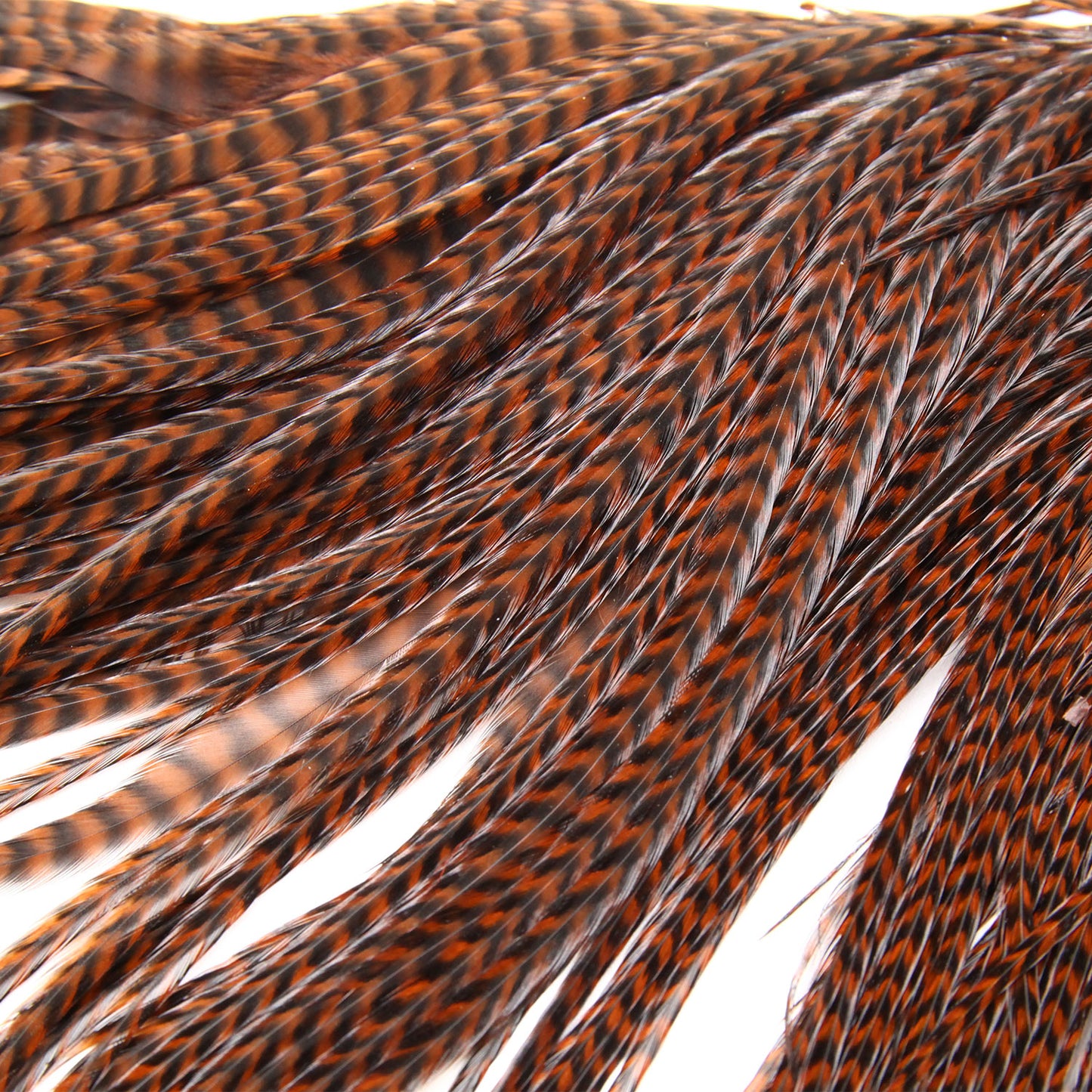 Keough Half Grizzly Saddles Brown