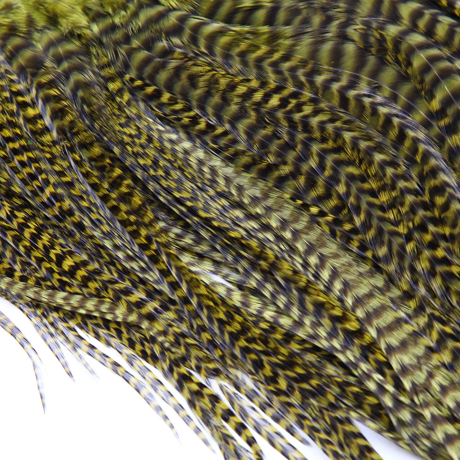 Keough Half Grizzly Saddles Olive